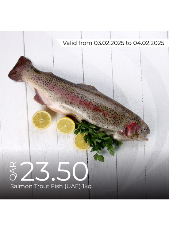 Today's Deal