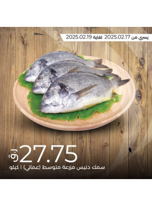Today's Deal