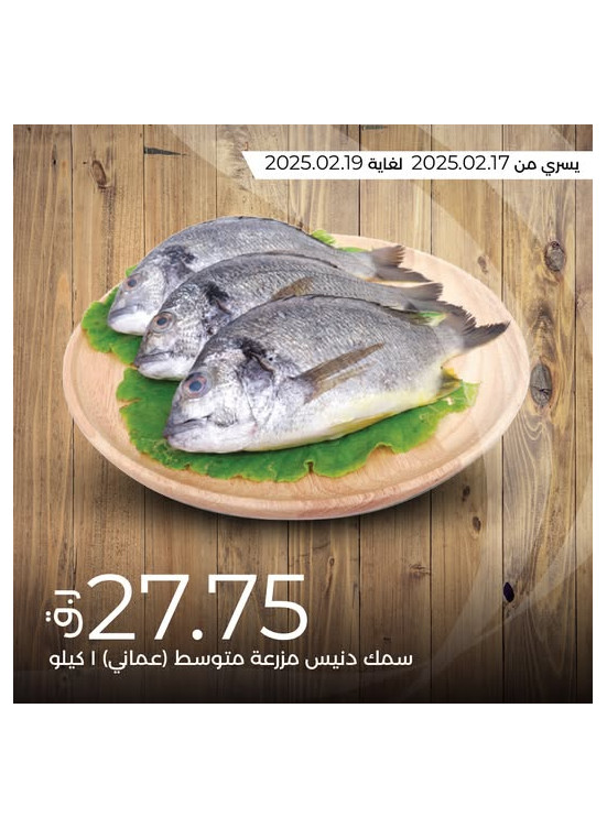 Today's Deal