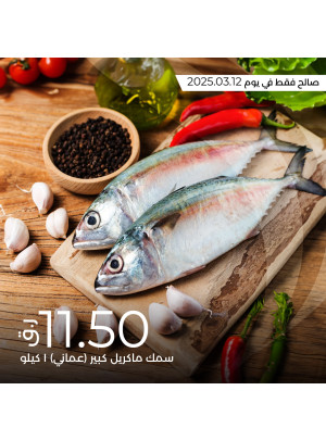 Today's Deal
