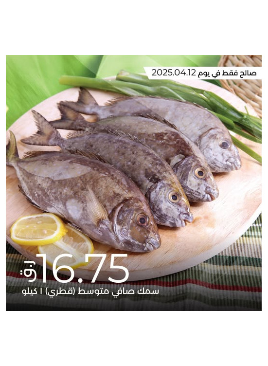 عرض اليوم