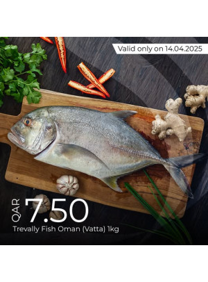 Today's Deal
