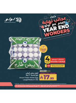 عروض عجائب نهاية العام، العدد الثاني - جدة، مكة، تبوك، ينبع، خميس مشيط والطائف