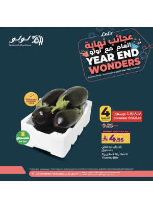 عروض عجائب نهاية العام، العدد الرابع - جدة، مكة، تبوك، ينبع، خميس مشيط والطائف