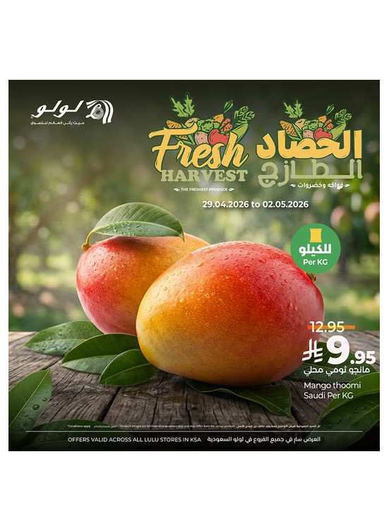 عروض الحصاد الطازج