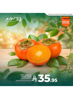 جديد فالمتجر