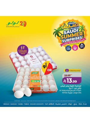 Saudi Summer Surprises, Vol 2 - Western Region