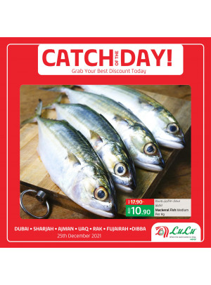 Today Deals - Dubai & Northern Emirates