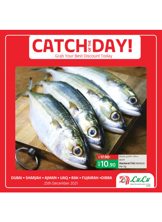 Today Deals - Dubai & Northern Emirates