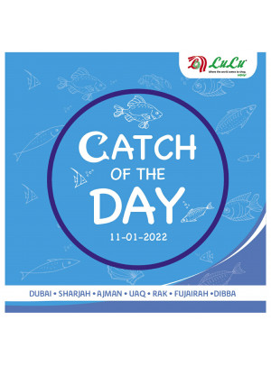 Catch Of The Day - Dubai & Northern Emirates