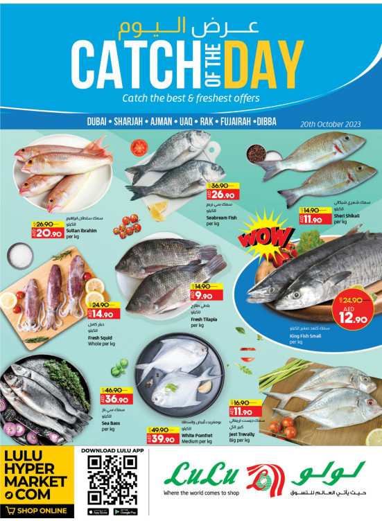Catch of The Day - Dubai & Northern Emirates