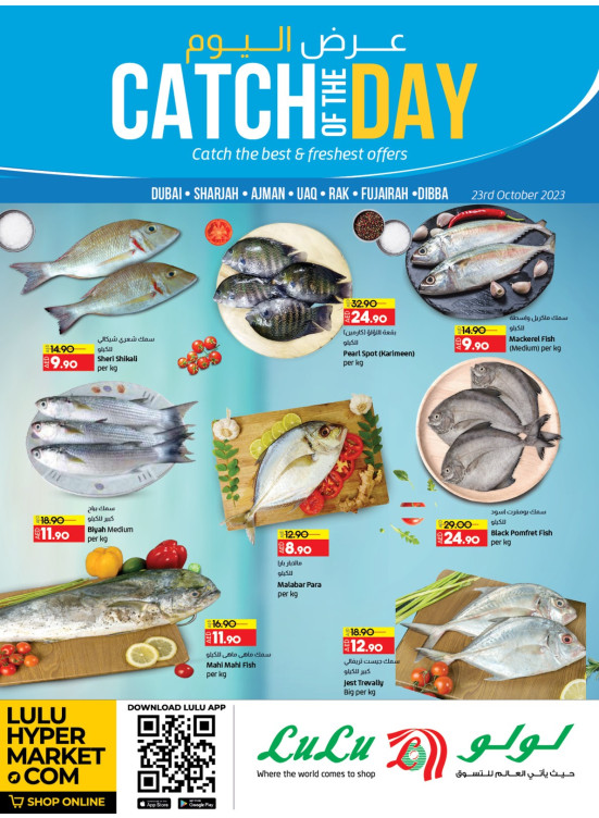 Catch of The Day - Dubai & Northern Emirates