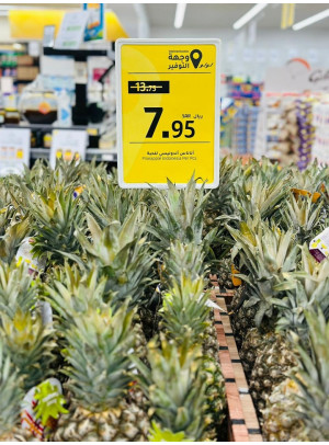 November Rush Deals - Eastern Province