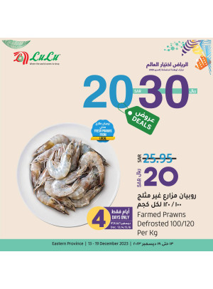 20, 30 Sar Deals - Eastern Province