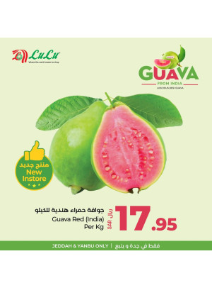 عروض الجوافة - جدة وينبع