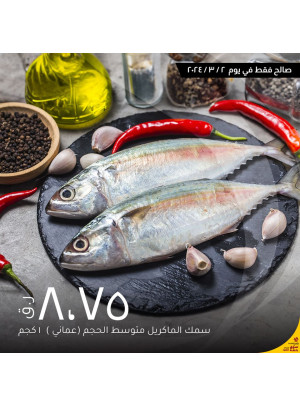 صفقة اليوم