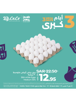 3 Mega Days, Vol 3 - Jeddah, Tabuk & Yanbu
