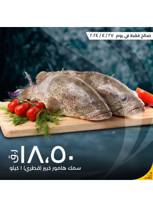 عرض اليوم