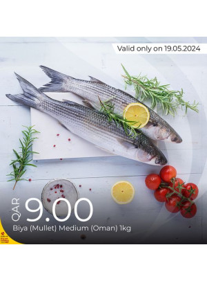 Today's Deal