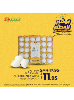 عروض توفير العطلة، العدد الثاني - الرياض، الخرج، حائل وعنيزة