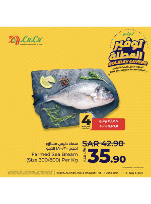 عروض توفير العطلة، العدد الرابع - الرياض، الخرج، حائل وعنيزة