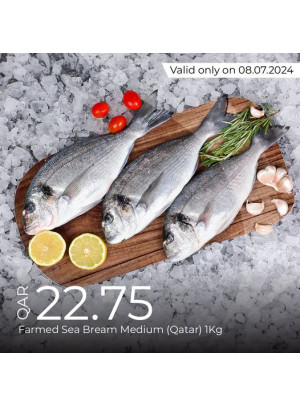 Today's Deal