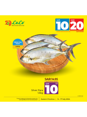 10, 20 Sar Big Savers Offers, Vol 16 - Eastern Province