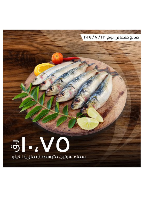 عرض اليوم