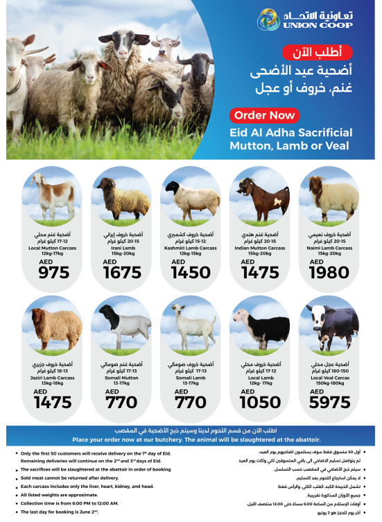 عروض أضحية عيد الأضحى، غنم، خروف أو عجل