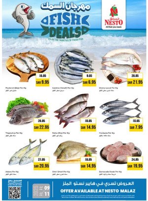 Fish Festival - Malaz