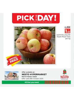 Pick of The Day - Nadd Al Hamar