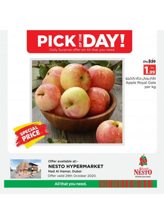 Pick of The Day - Nadd Al Hamar