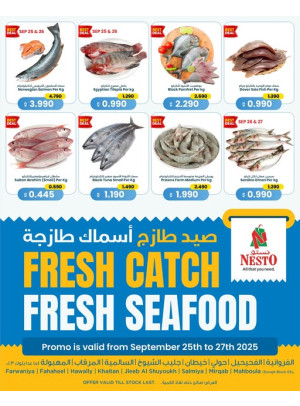 عروض الأسماك الطازجة