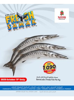 Fish Exclusive