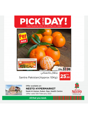 Pick of The Day - Nadd Al Hamar
