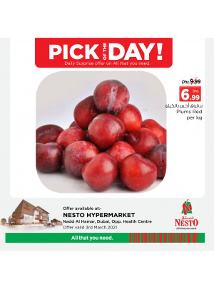 Pick of The Day - Nadd Al Hamar