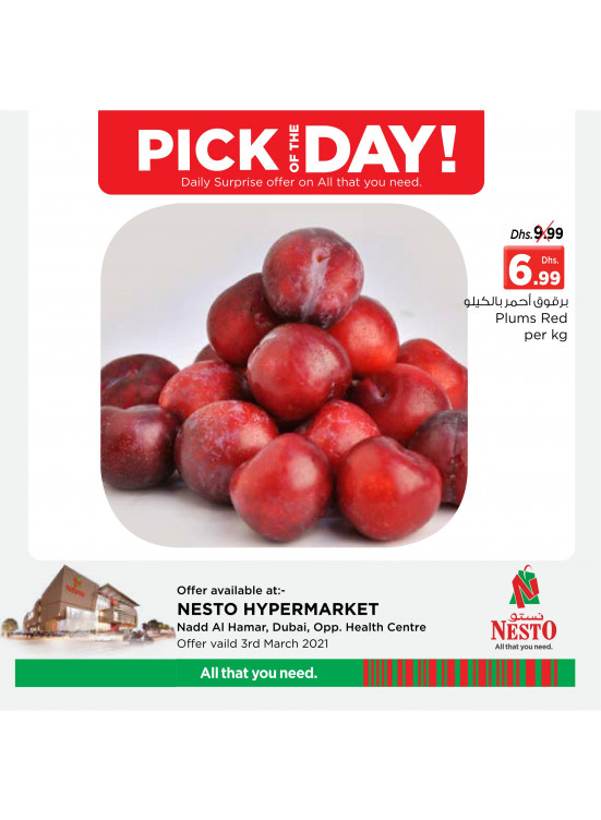 Pick of The Day - Nadd Al Hamar