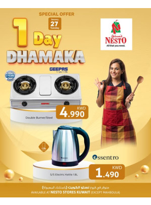 1 DAY DHAMAKA