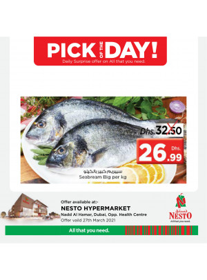Pick of The Day - Nadd Al Hamar