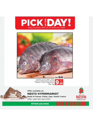 Pick of The Day - Nadd Al Hamar