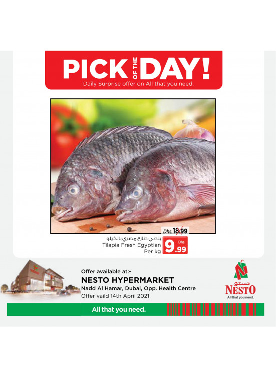 Pick of The Day - Nadd Al Hamar