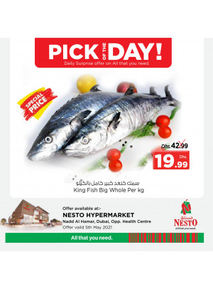 Pick of The Day - Nadd Al Hamar
