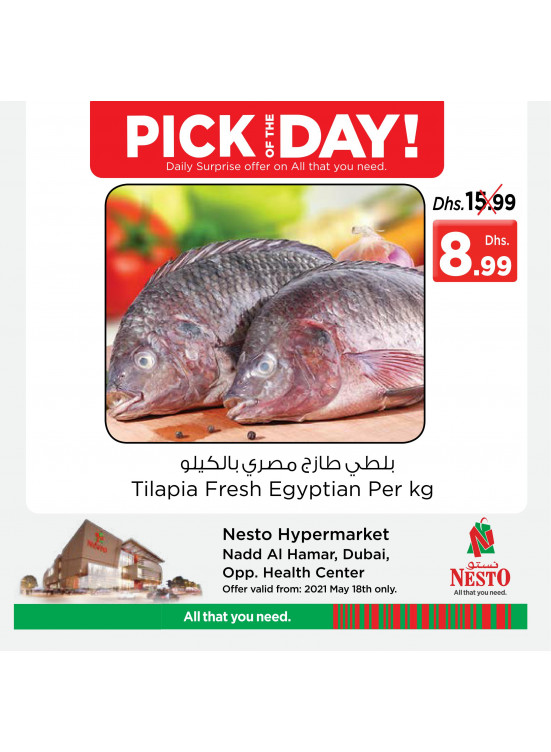 Pick of The Day - Nadd Al Hamar