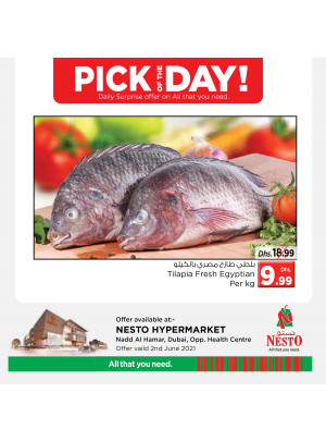 Pick of The Day - Nadd Al Hamar