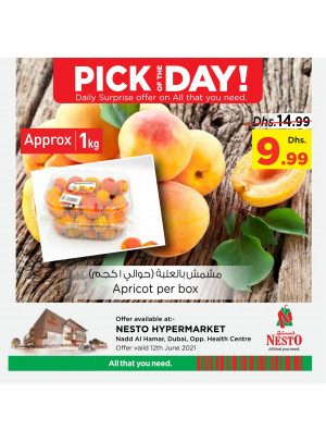 Pick of The Day - Nadd Al Hamar
