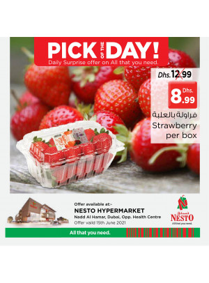 Pick of The Day - Nadd Al Hamar