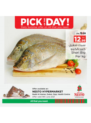 Pick of The Day - Nadd Al Hamar