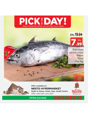 Pick of The Day - Nadd Al Hamar
