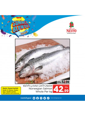 Summer Deals - Nadd Al Hamar