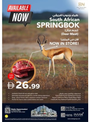 South African Springbok - Burj Nahar Mall, Dubai